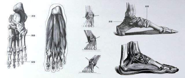 怎样成为一名球鞋设计师,球鞋设计师用什么软件