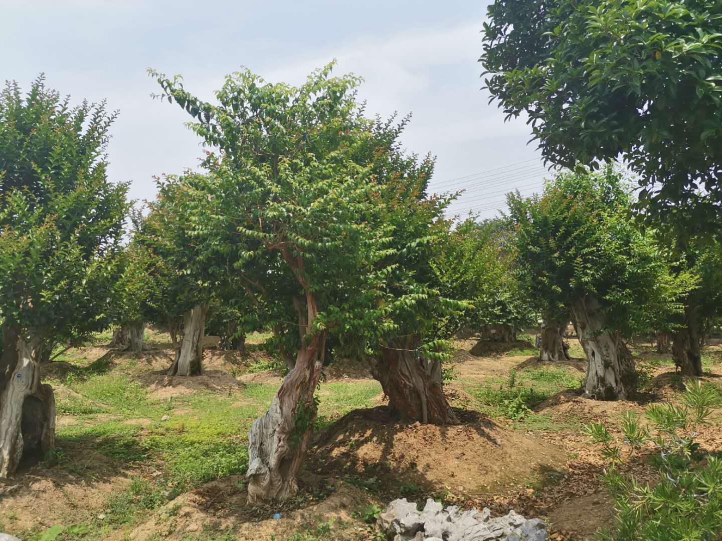 叹为观止自然风景,叹为观止高清图