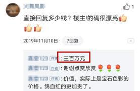 花300买了满天星,花300块钱买水晶值吗