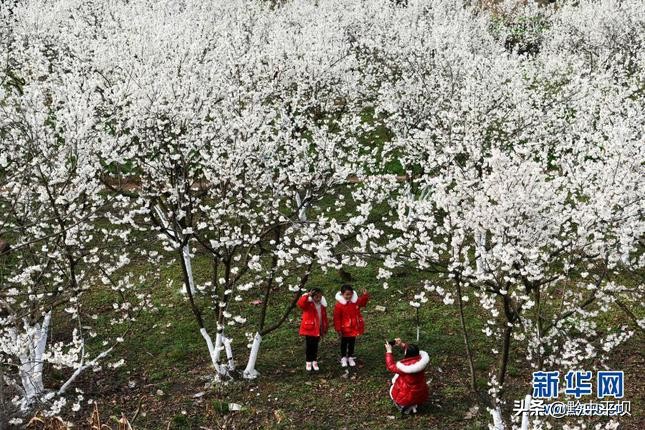 我国脱贫攻坚伟大成就视频,新时代脱贫攻坚的伟大成就