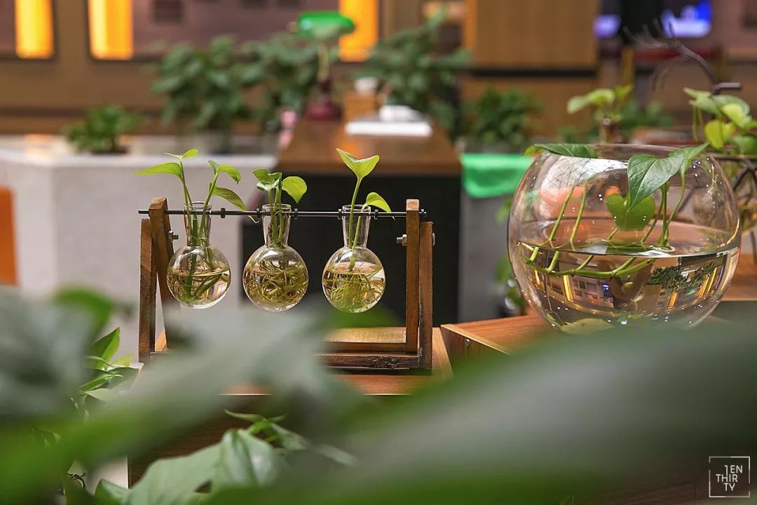 武汉外号,武汉最牛逼的大学