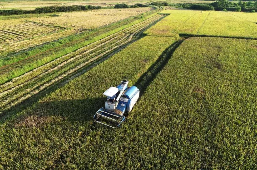 早安海口2019年12月19日,早安海口2018年12月19日