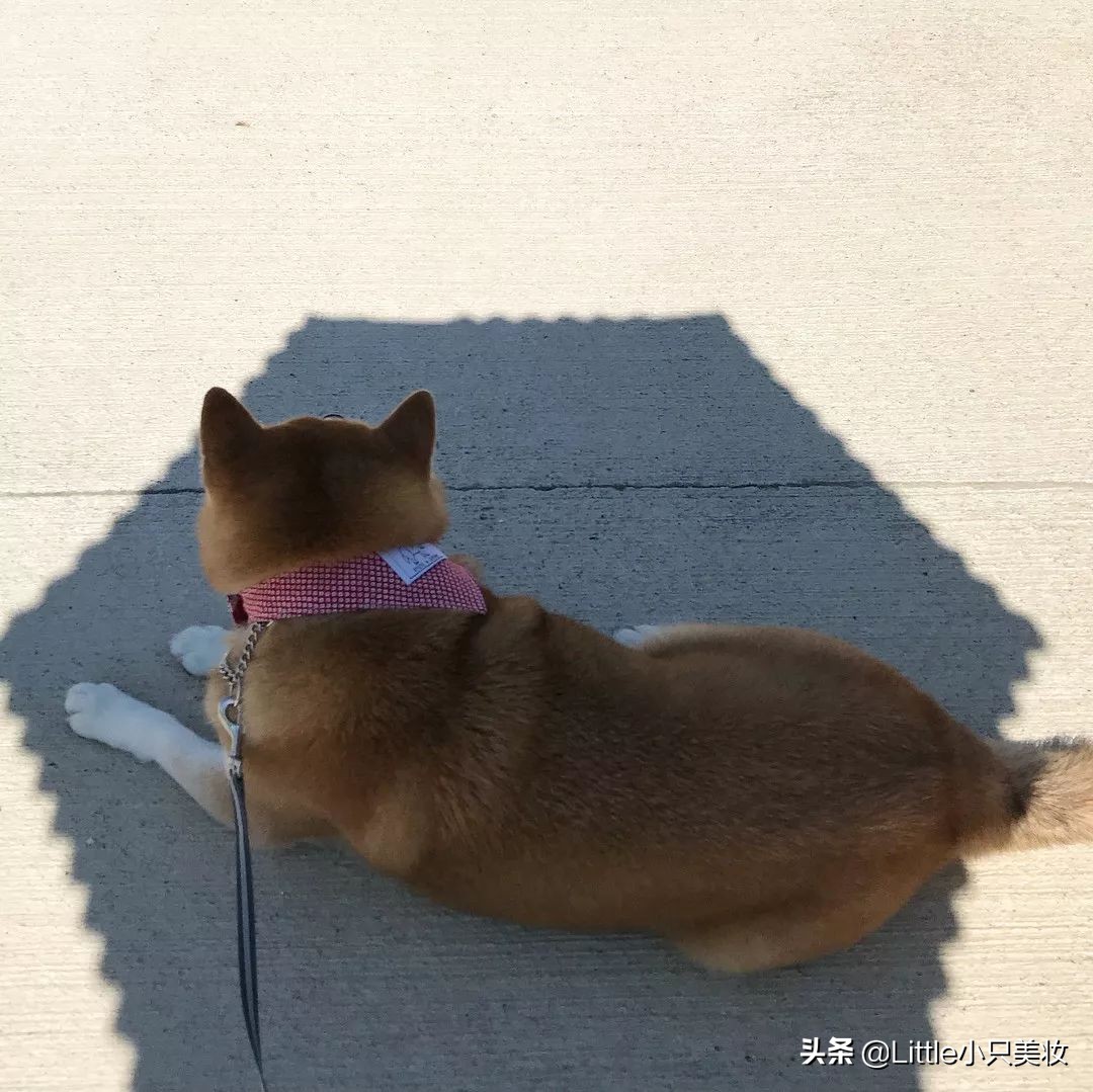 大宝防晒霜防晒黑吗,防晒黑的防晒霜红榜