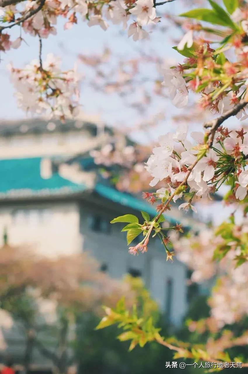 国内旅行必去的地方列表,国内必去的100个地方