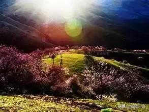 疆内哪里好玩风景好夏天,入疆必看景点大全