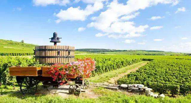 移民到摩尔多瓦,摩尔多瓦移民费用