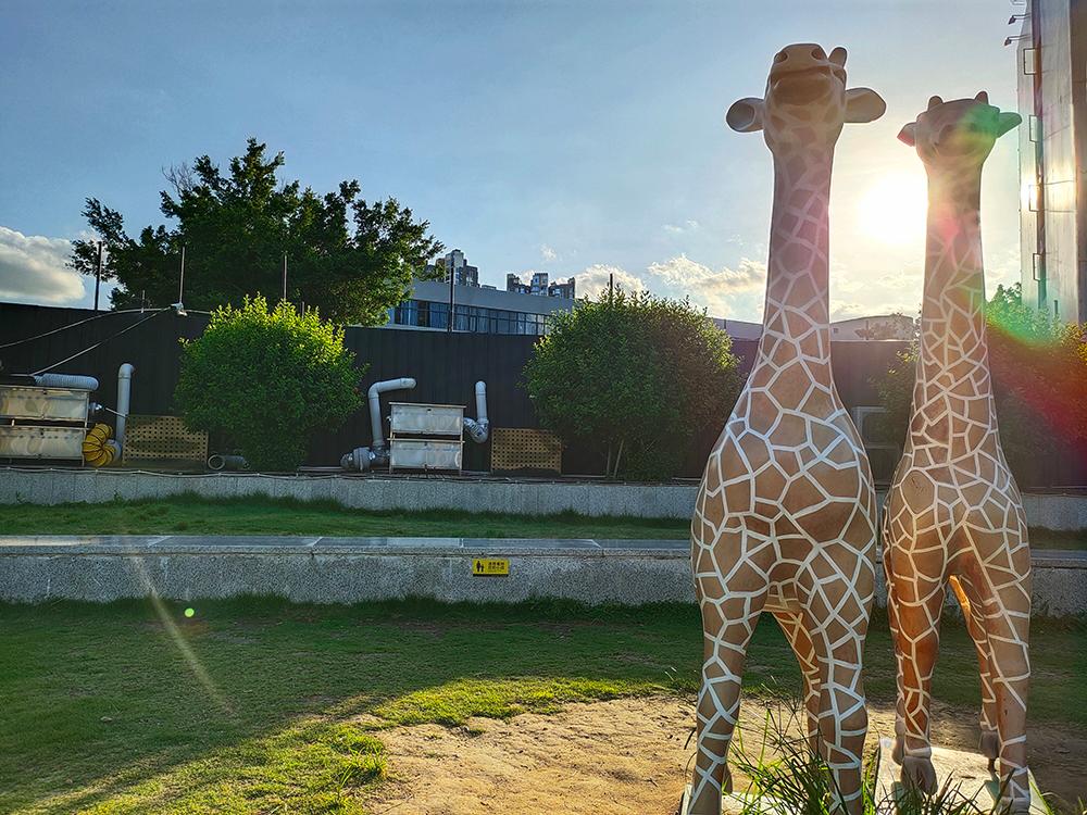 iqoo3值得入手吗二手手机,iqoo3二手手机