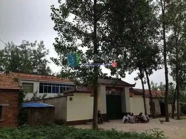 刘强东的励志人生,刘强东具备了哪些创业精神