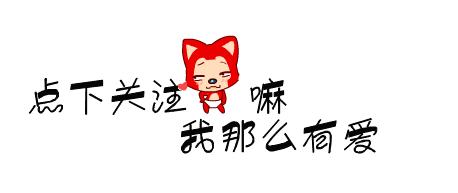 常见的20种狗狗,带大家认识不一样的狗狗