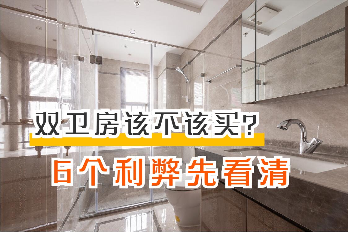 买双卫还是单卫,小户型双卫有必要吗