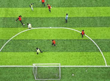 春已来踏青去,春已来花将开