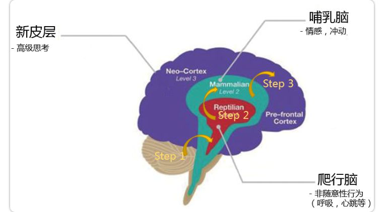 人性的弱点懒惰和贪婪,人性的弱点对成功的影响