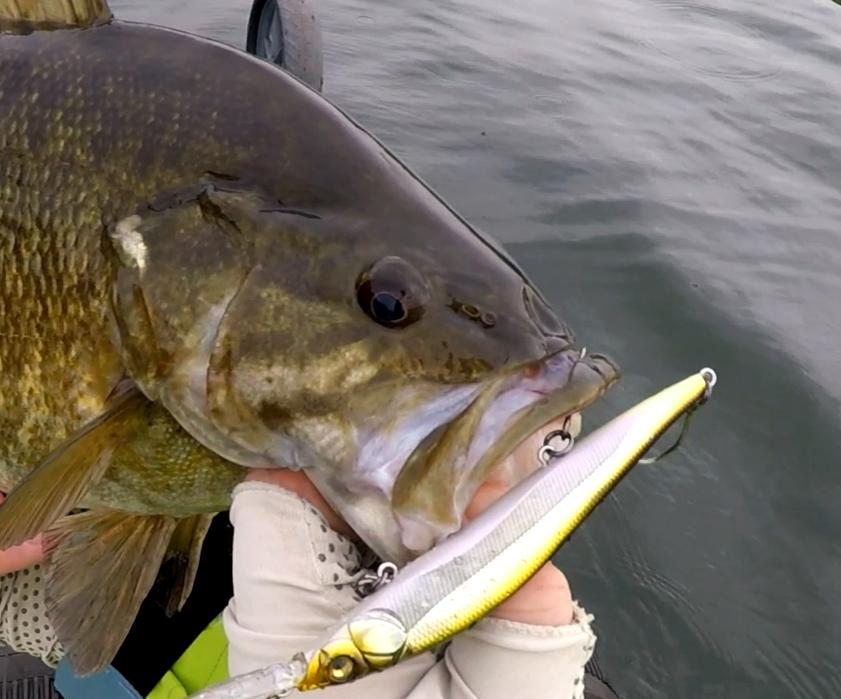 路亚小白条用单钩好还是三本钩好,10g路亚饵配多大的三本钩