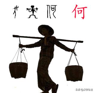 汉字植物课：大语文这样学，把与荷花有关知识及字词诗文一网打尽