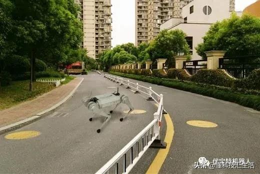 高端智能机器狗,wavego仿生机器狗