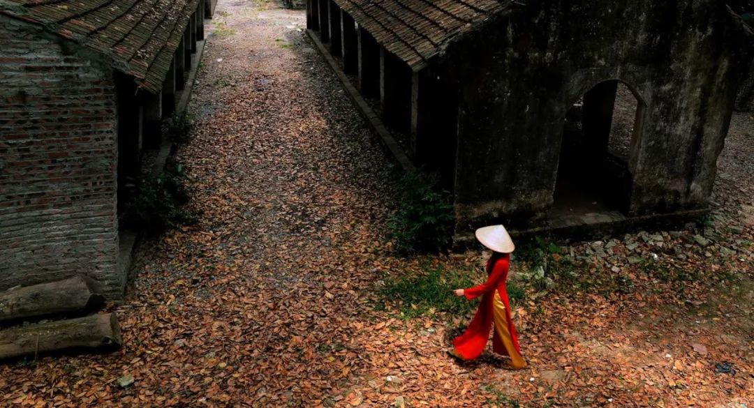 乡村追梦之路,乡村振兴与乡村旅游思考