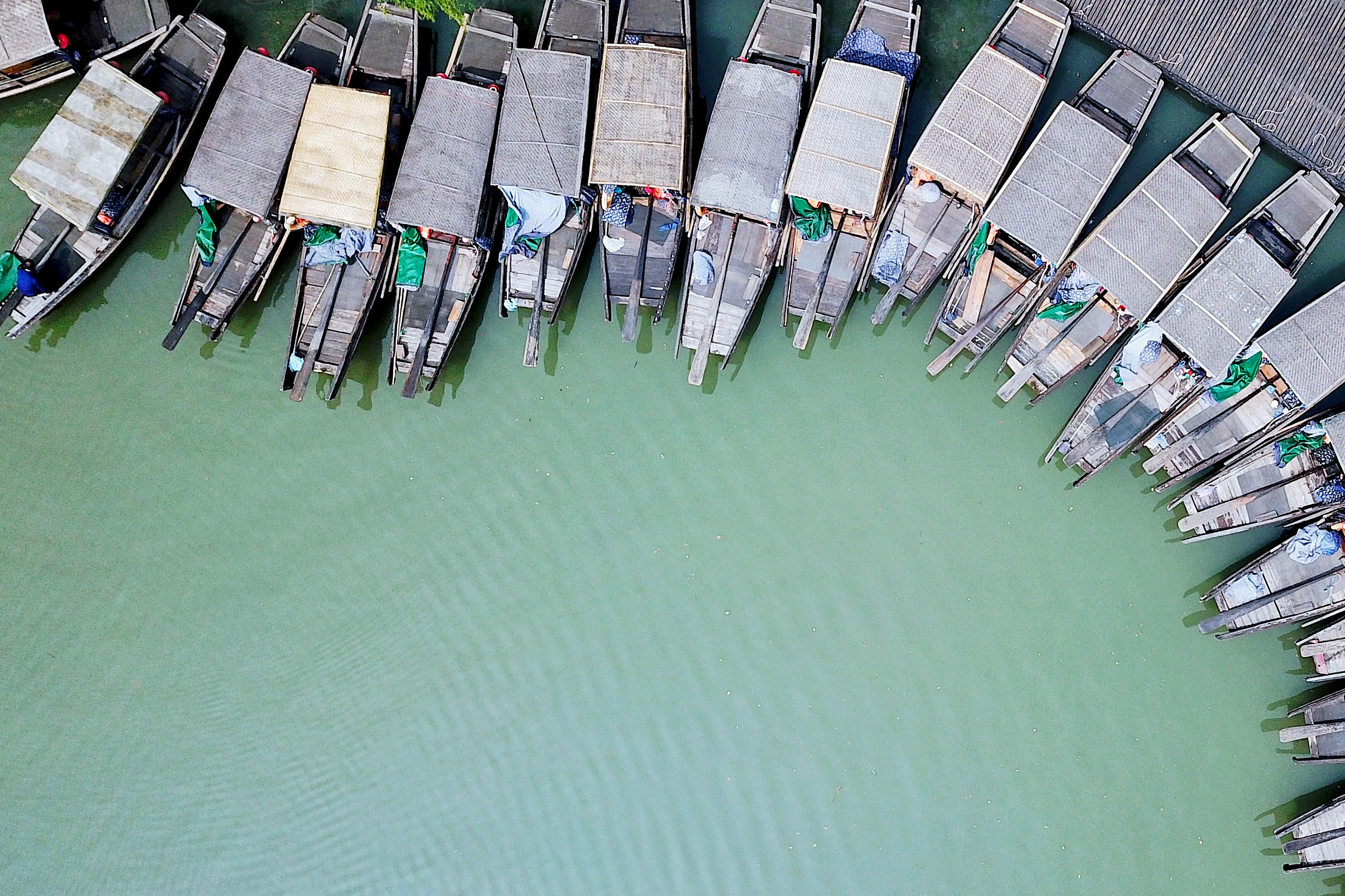 常熟水上花田旅游攻略,常熟水上游玩攻略