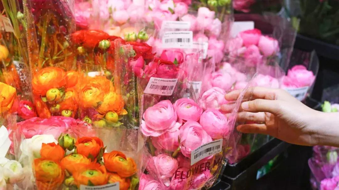 厦门这家超浪漫的鲜花餐厅,厦门最好看的花店