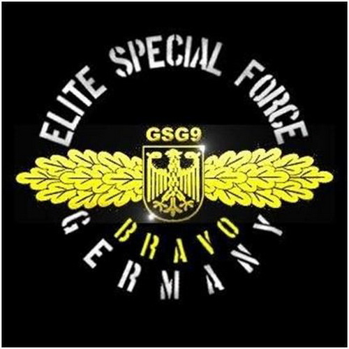 特种作战力量排行,世界战斗力最强的十大特种部队