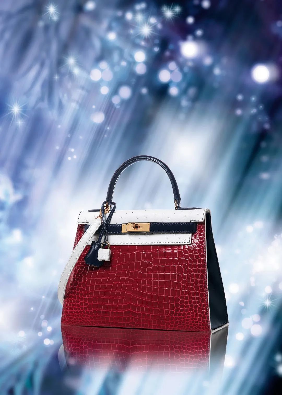專家指南|一文教你讀懂愛馬仕的鱷魚皮手袋
