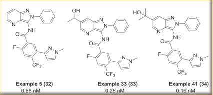澶氬璺ㄥ浗鑽紒,璺ㄥ浗闆嗗洟鐮斿埗鐨勬姉鐧屾敞灏勫墏