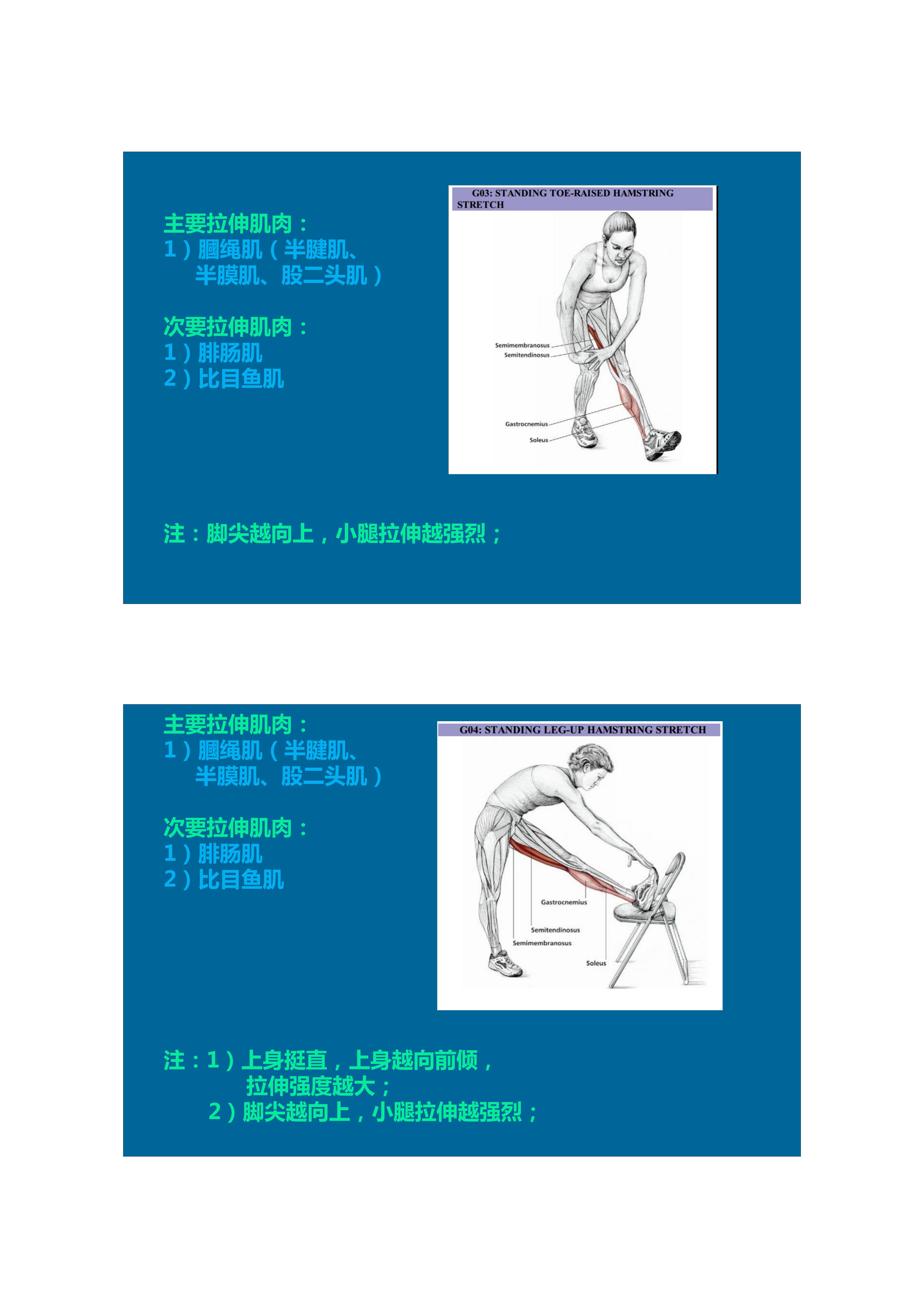 1分钟拉伸动作视频,拉伸腿部技巧