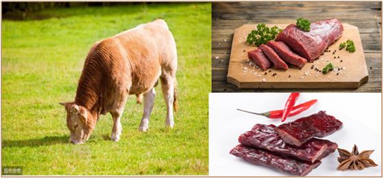 宋朝吃牛肉犯法,在宋朝吃牛肉犯法吗