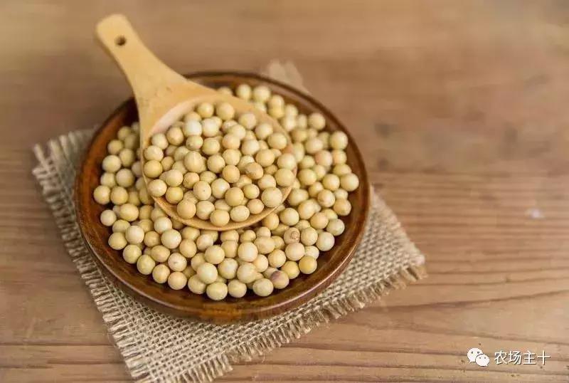 有机农业的真实现状,有机农业的惊天骗局