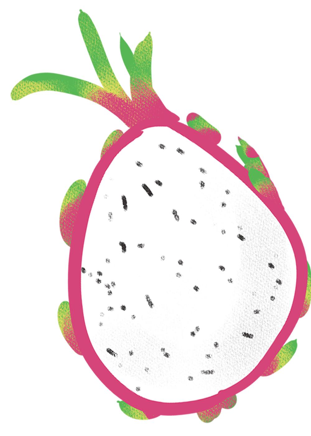 火龙果为什么长得像龙,火龙果为什么有个龙