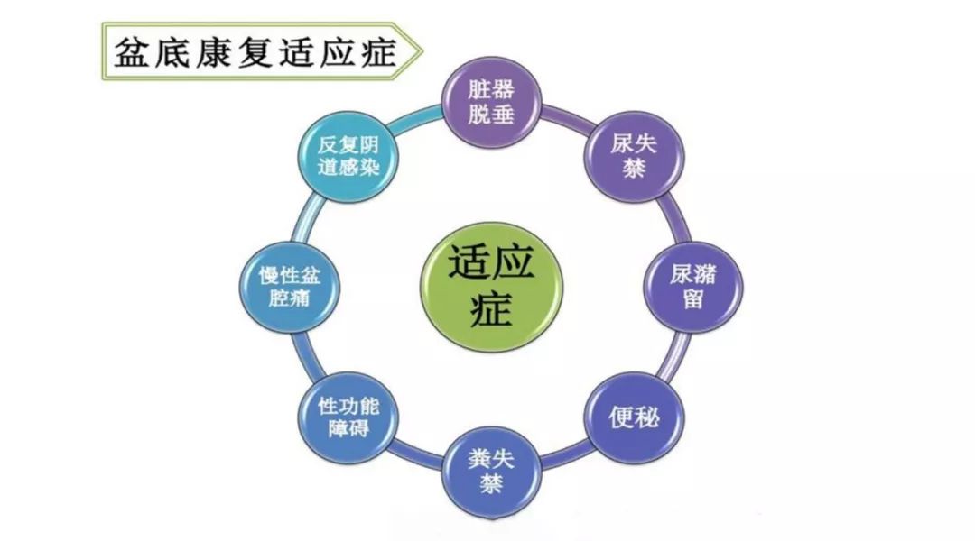 盆底健康知识讲座大全,关爱女性盆底健康课程