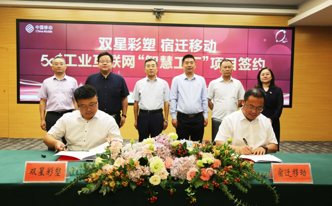 宿迁双星彩塑真实事件,宿迁双星彩塑新材料股份有限公司