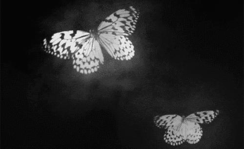 gucci经典黑色腕表,gucci高定腕表