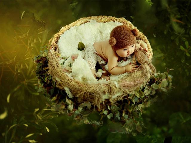 大连苹果树儿童摄影,大连儿童摄影真实推荐