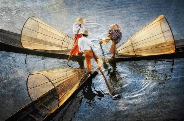 柚木缅甸哪个地方的柚木最好,缅甸最好的柚木产自哪里