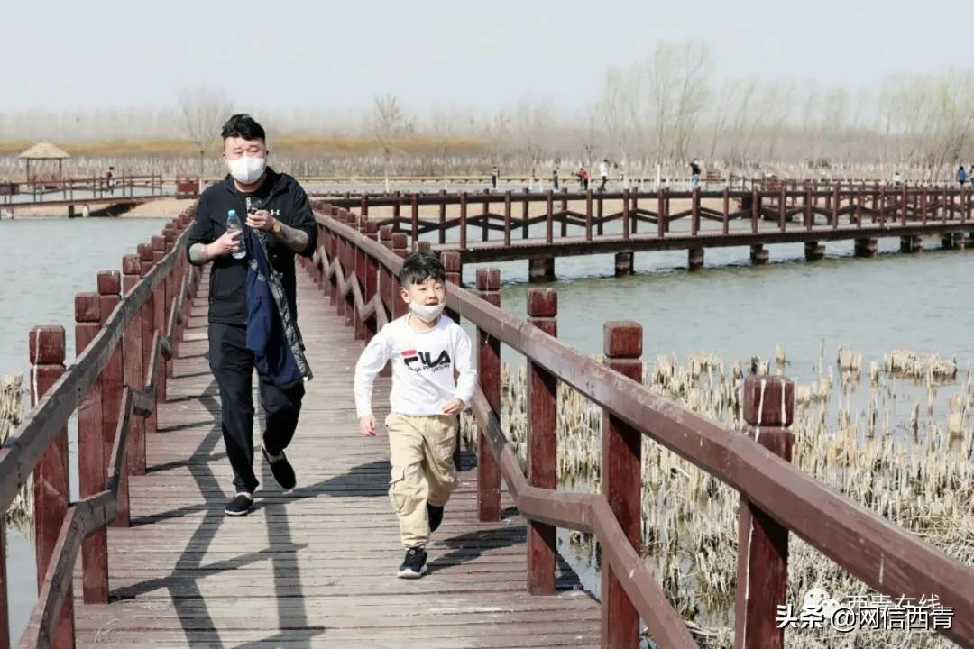 天津新开放的公园,天津水西公园现在恢复开放了吗