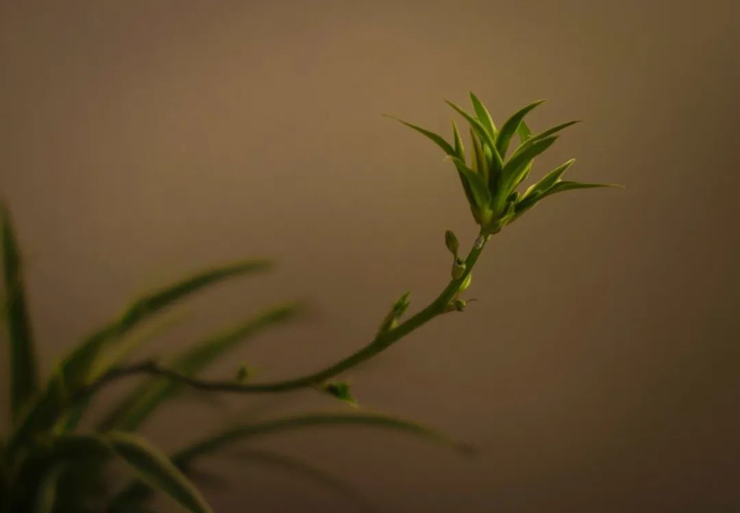 pr公关入门详细教程,pr公关课程