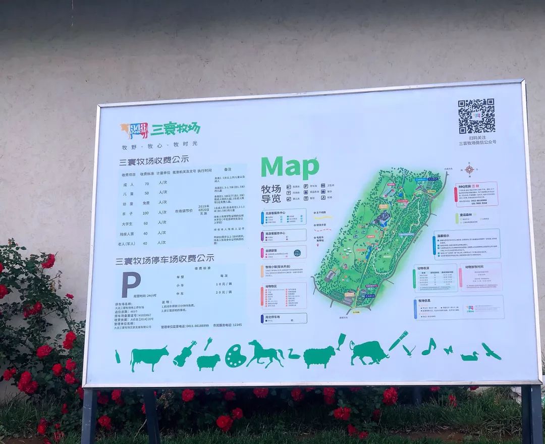 大连旅游攻略精致景点推荐,大连必去的打卡景点