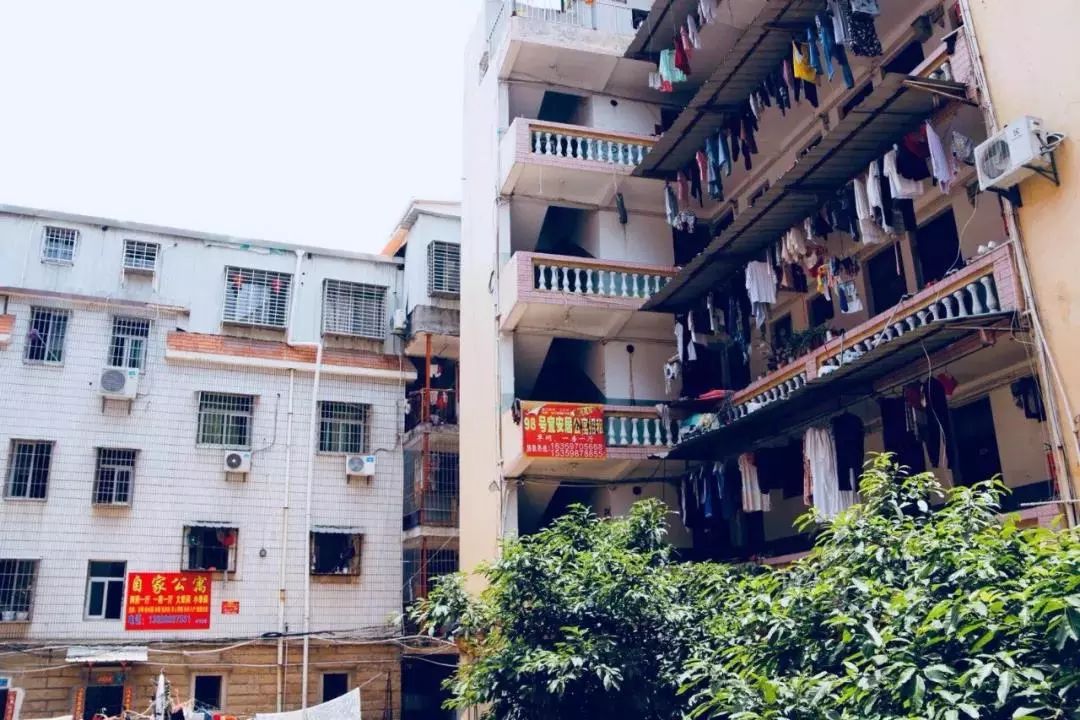 厦门岛内岛外思明区,厦门岛内鄙视链