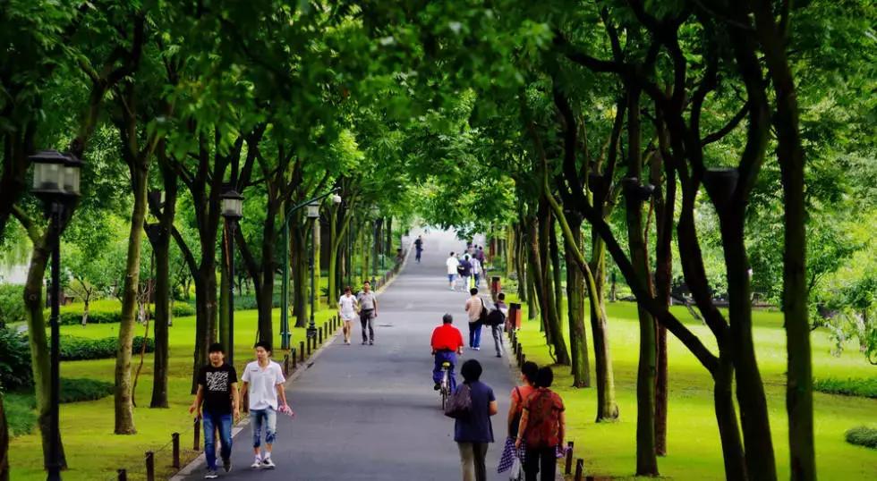 第一次来苏杭旅游必看本地人建议,新手玩游戏的必看