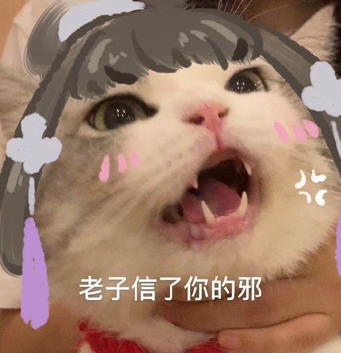 同为老五门，却势如水火！剑三奶花与天策的恩怨只有老玩家才知道