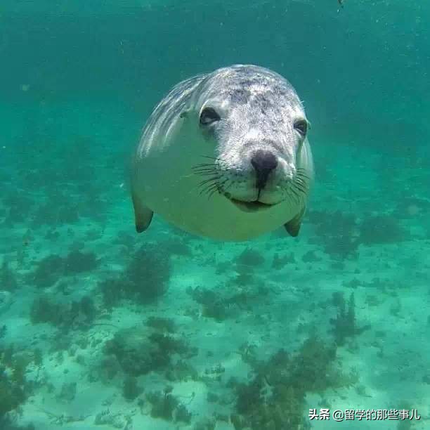 澳大利亚有哪些旅游胜地,澳大利亚有什么好玩的免费景点
