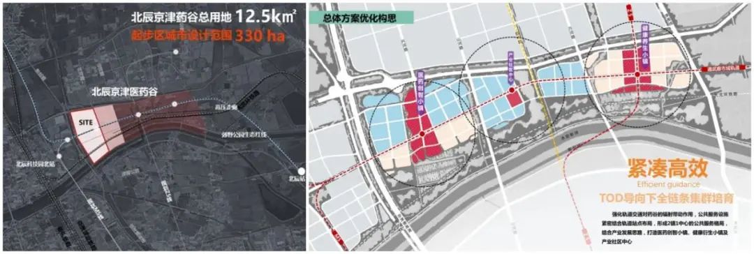 天津国务院新闻最新消息,国务院对天津的态度