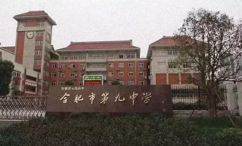 新站未来的潜力板块在哪里,新站发展最新消息