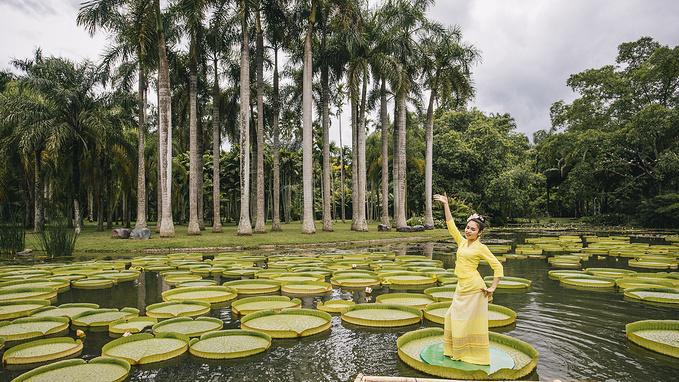 七彩云南雨林探险,游七彩云南西双版纳掠影之一