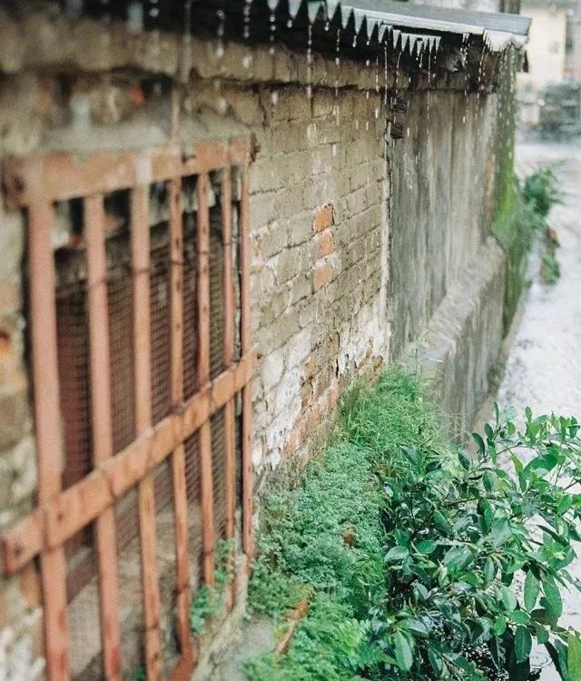 干货丨在广州来这拍照就对啦,制霸朋友圈从今天开始