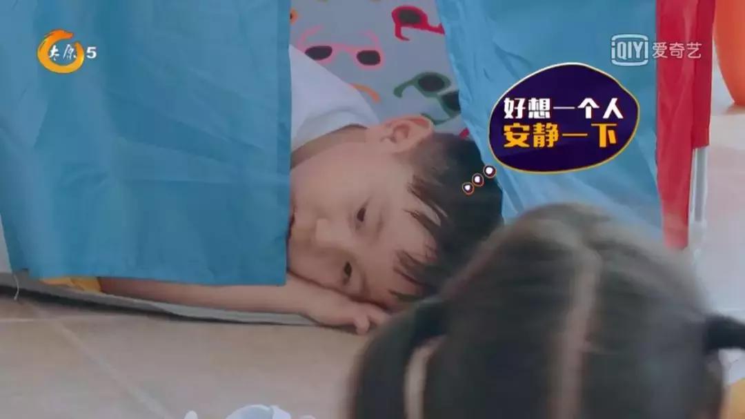 《小骑手!冲啊》|可爱萌娃变身激燃赛车手,成长大戏拉开大幕