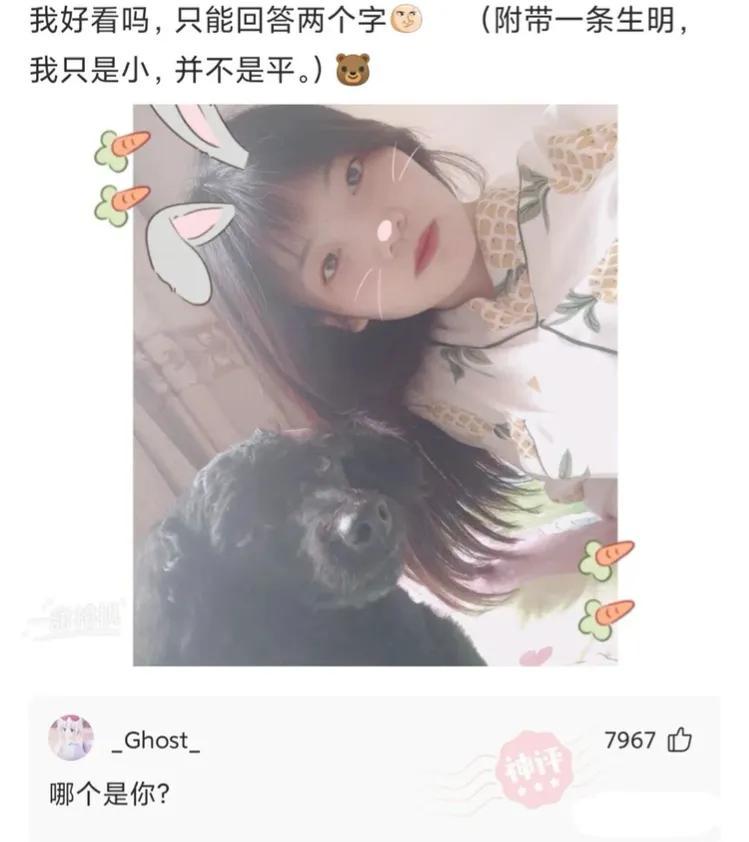 爆笑神评逗乐,爆笑神评价朋友圈