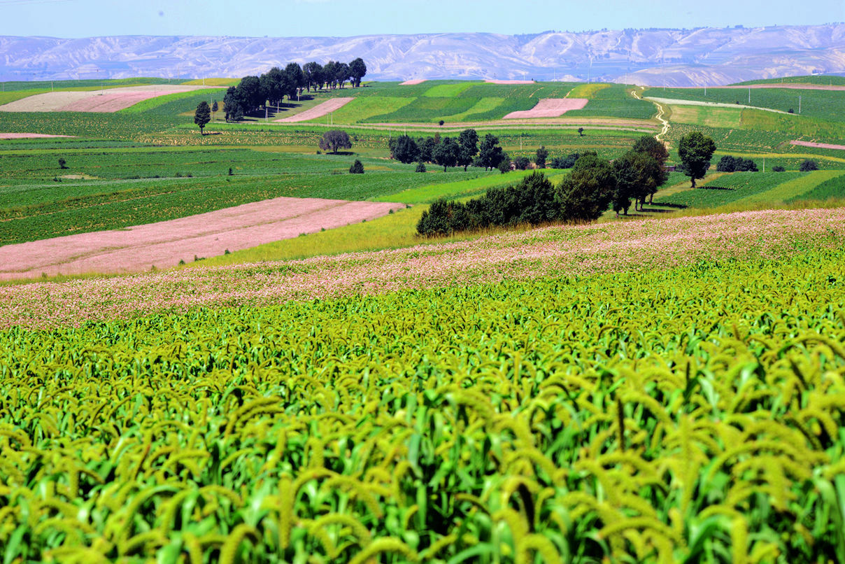 定边人大主任,定边人事调整卫生局局长公示