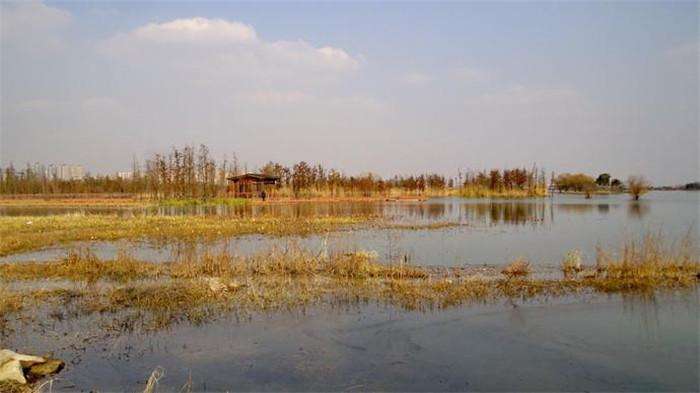 为什么河里水草多钓不到鱼,有水草一定要钓水草边吗