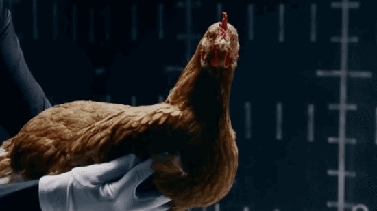 2021年各大品牌手机选购指南,2022年32款手机选购指南